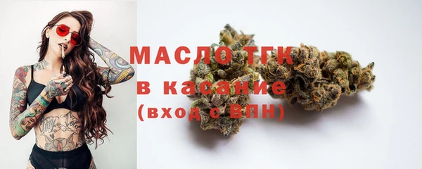 молекула духа Богородск