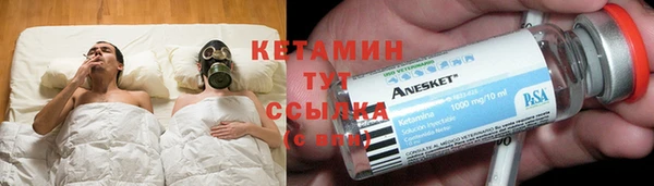 дмт Богданович
