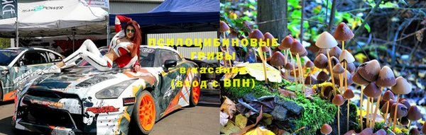трава Белокуриха