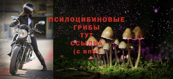 молекула духа Богородск