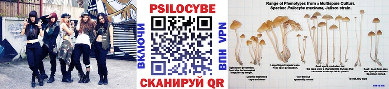 omg рабочий сайт  Сланцы  Псилоцибиновые грибы Magic Shrooms 